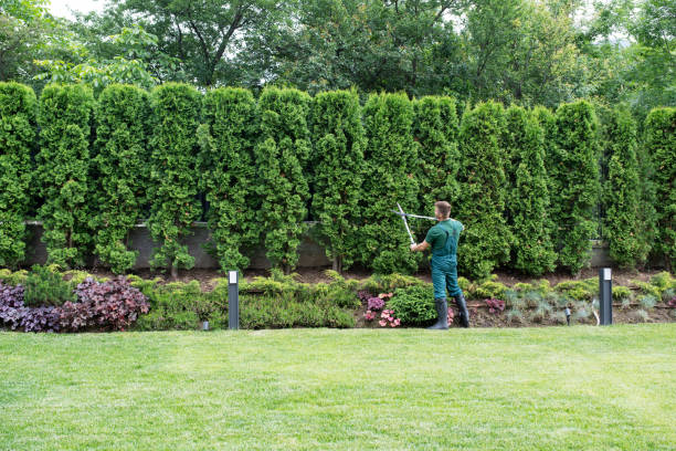 Artificial Turf Installation in Rouse, CA